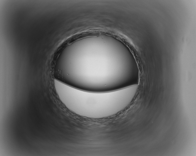 X0000099971496200805230950