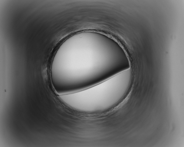 X0000099971497200805230950