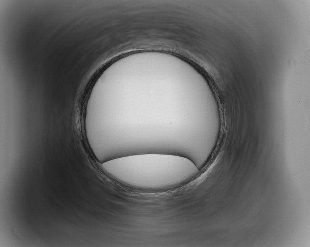 X0000099971498200805230950