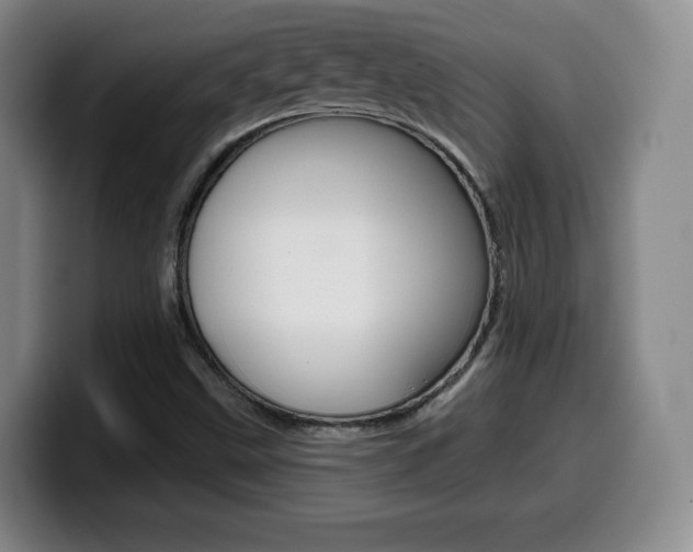 X0000099971499200805230950