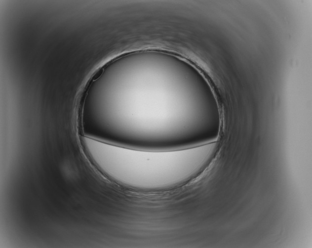 X0000099971500200805230950