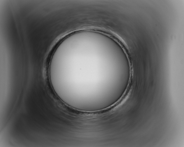X0000099971501200805230950
