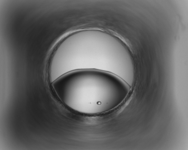 X0000099971502200805230950