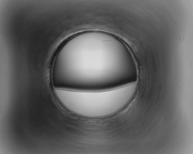 X0000099971503200805230950