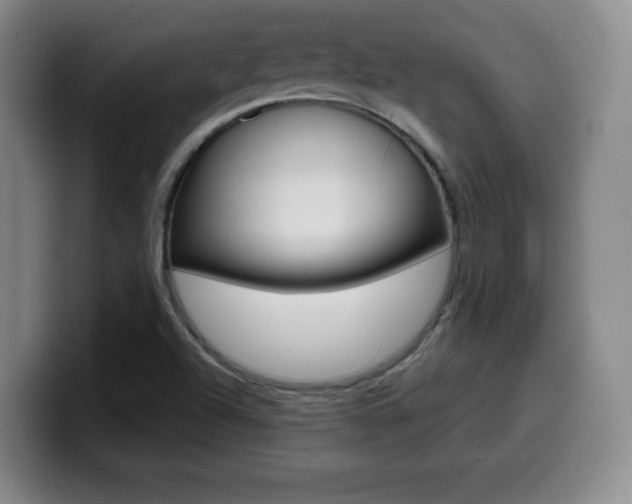 X0000099971504200805230950