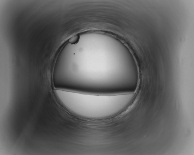 X0000099971505200805230950