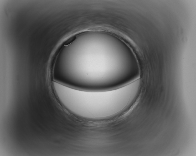 X0000099971506200805230950