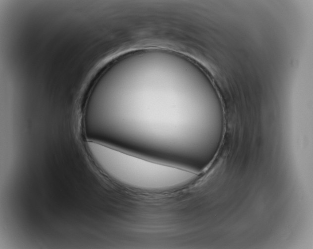 X0000099971507200805230950