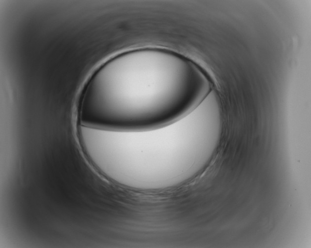 X0000099971508200805230950