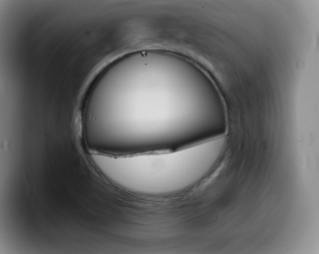 X0000099971509200805230950