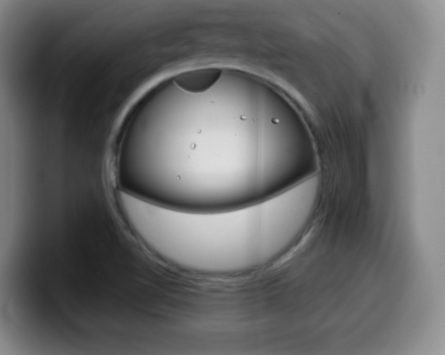 X0000099971510200805230950