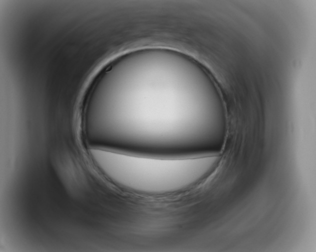 X0000099971511200805230950