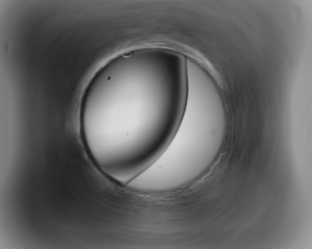 X0000099971512200805230950