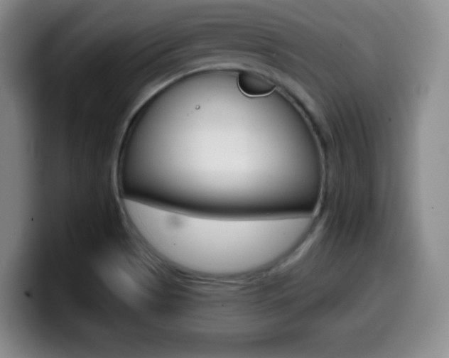 X0000099971513200805230950