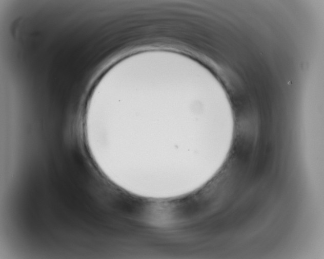 X0000099971514200805230950