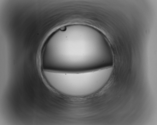 X0000099971515200805230950