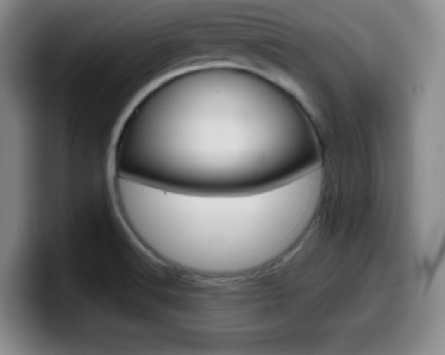 X0000099971516200805230950