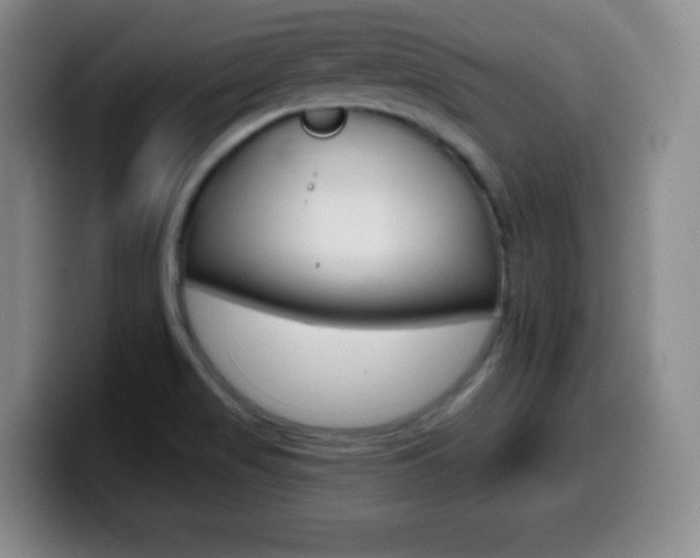 X0000099971517200805230950