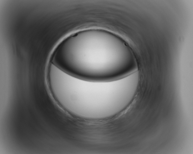 X0000099971518200805230951