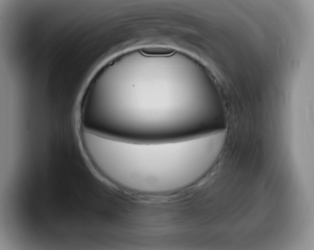 X0000099971519200805230951