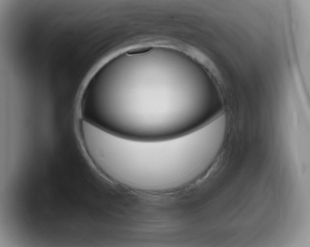 X0000099971520200805230951