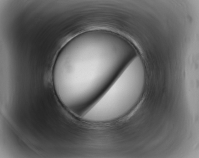 X0000099971521200805230951