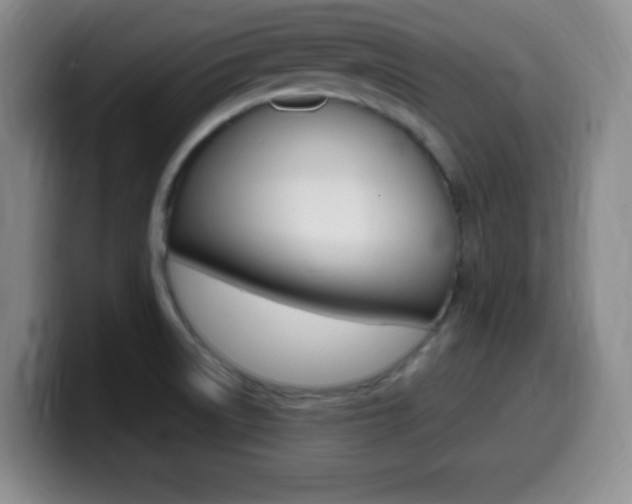 X0000099971522200805230951