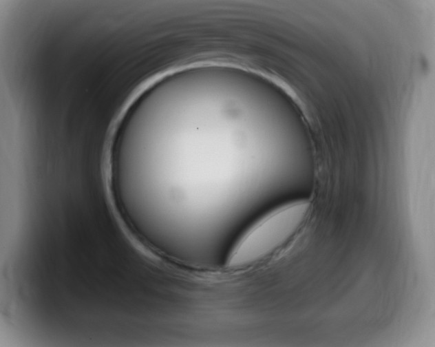 X0000099971523200805230951