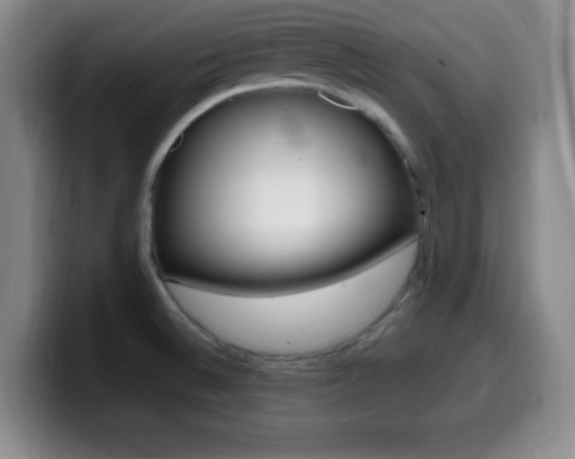 X0000099971524200805230951