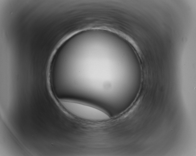 X0000099971525200805230951