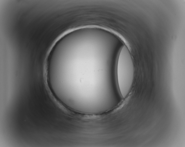X0000099971526200805230951