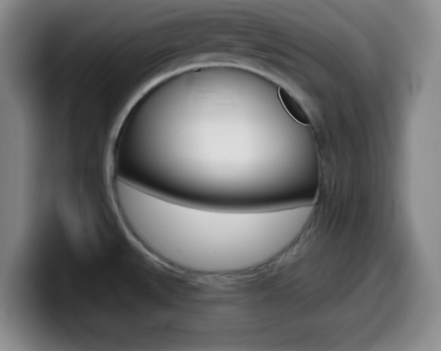 X0000099971527200805230951