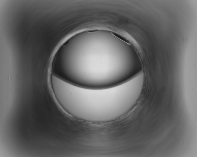 X0000099971528200805230951