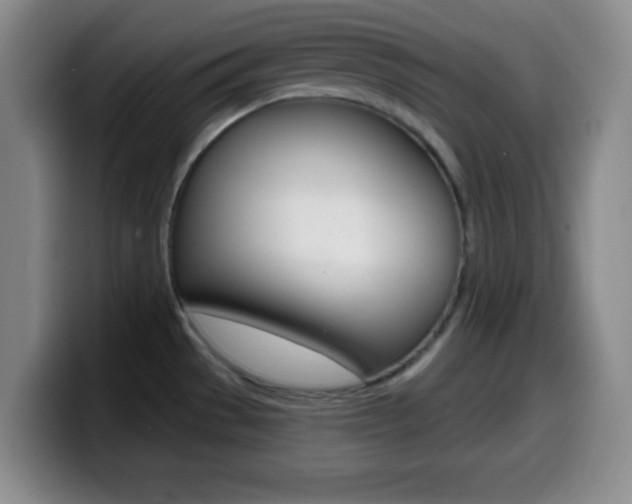 X0000099971529200805230951