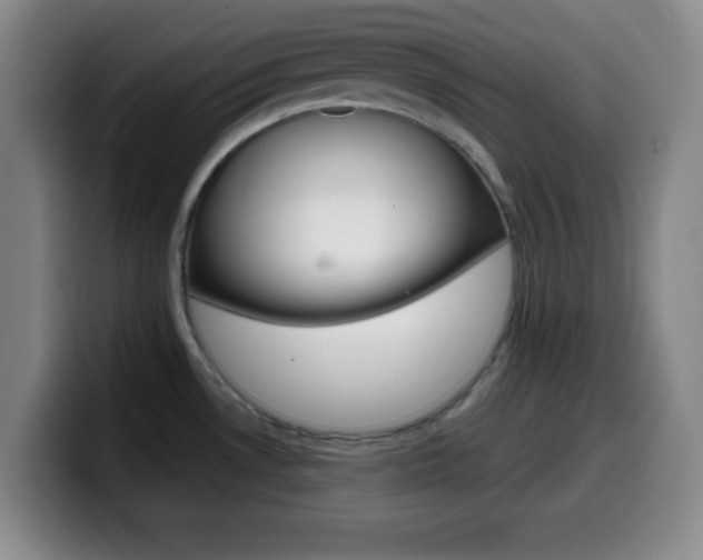 X0000099971530200805230951