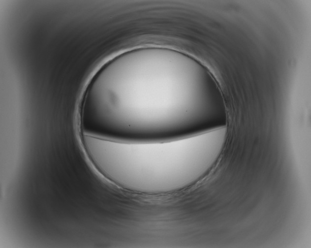 X0000099971531200805230951