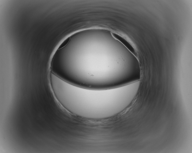X0000099971532200805230951