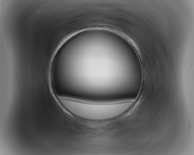 X0000099971533200805230951
