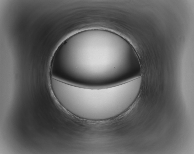 X0000099971534200805230951