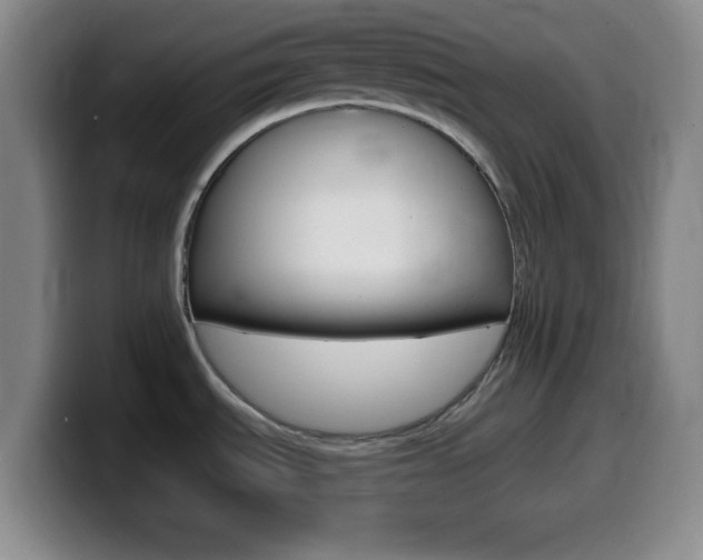 X0000099971535200805230951