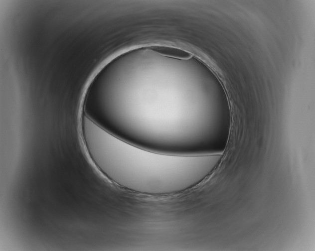 X0000099971536200805230951