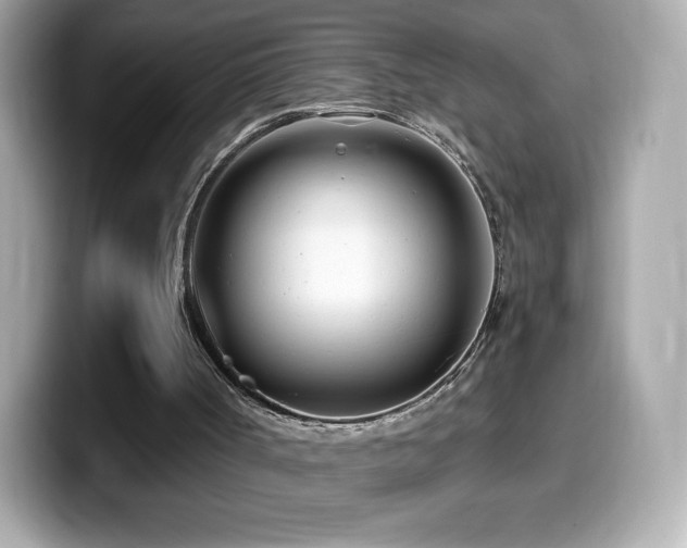 X0000099970002200805231414