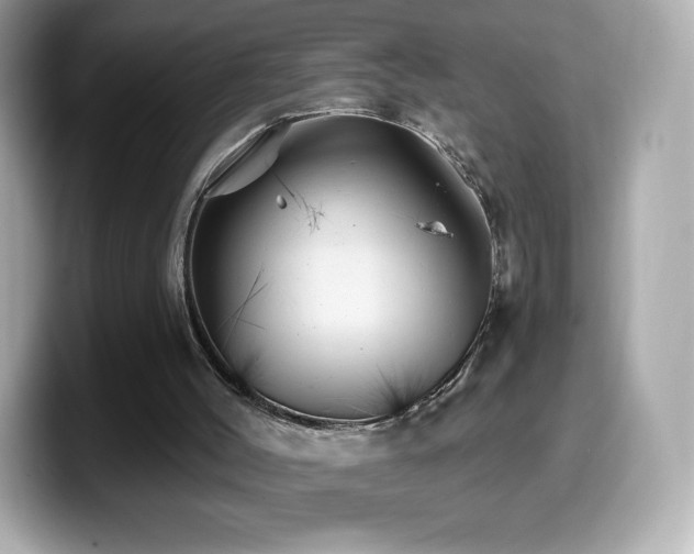 X0000099970004200805231414