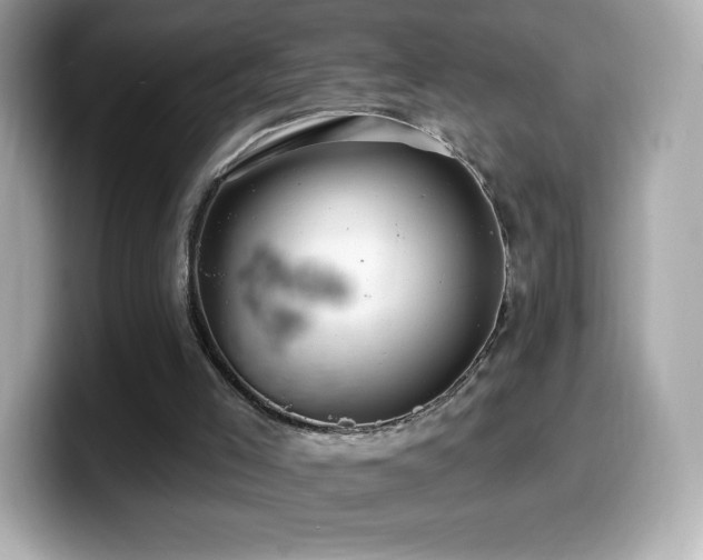 X0000099970005200805231414