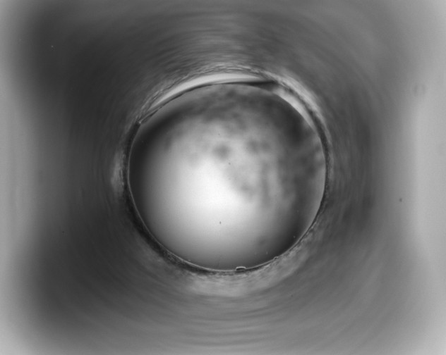 X0000099970009200805231414