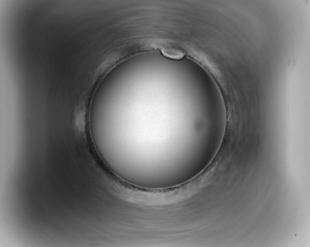 X0000099970010200805231414