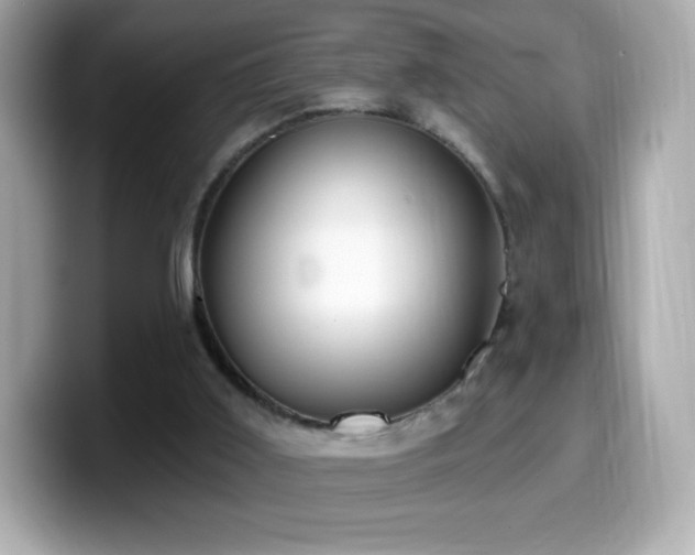 X0000099970011200805231414