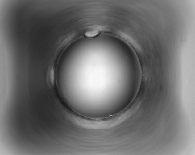 X0000099970014200805231414