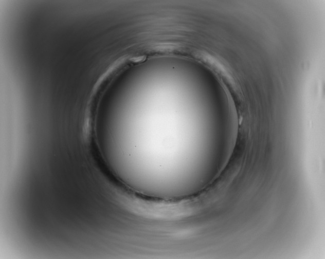 X0000099970016200805231414