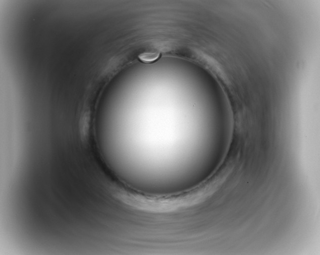 X0000099970018200805231414